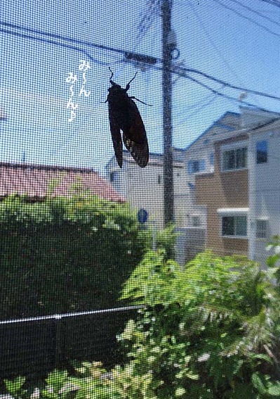 7日ブログ４