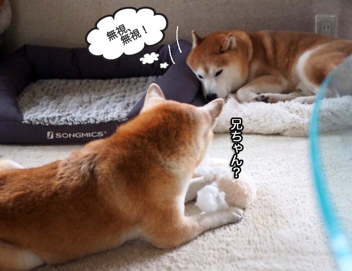 12日ブログ９