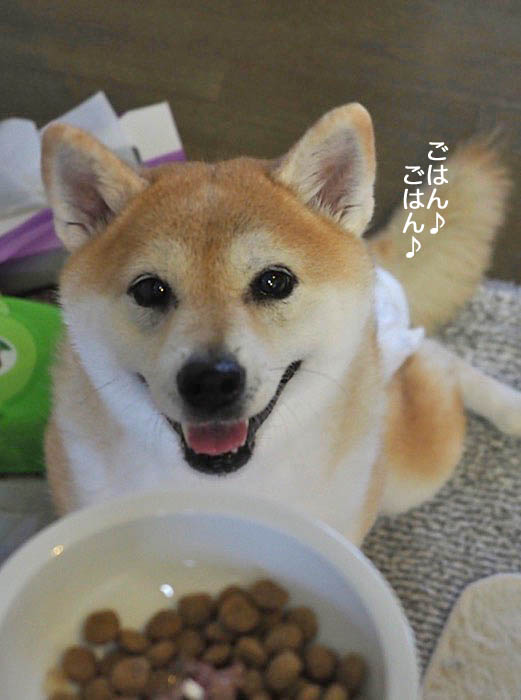 23日夜ブログ４