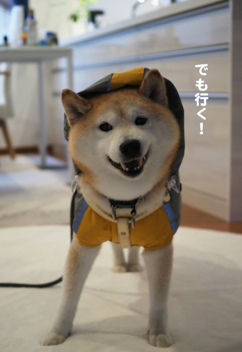 16日夜ブログ３