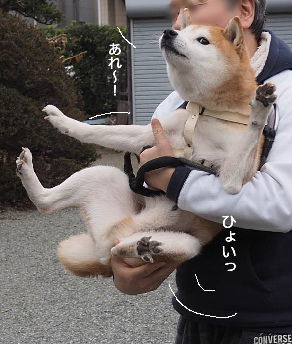 27日ブログ4