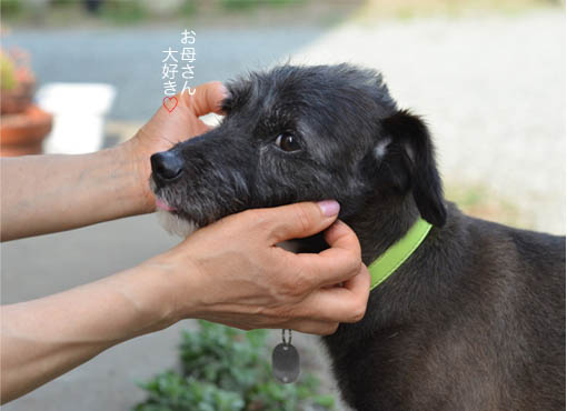 30日ブログ9.jpg
