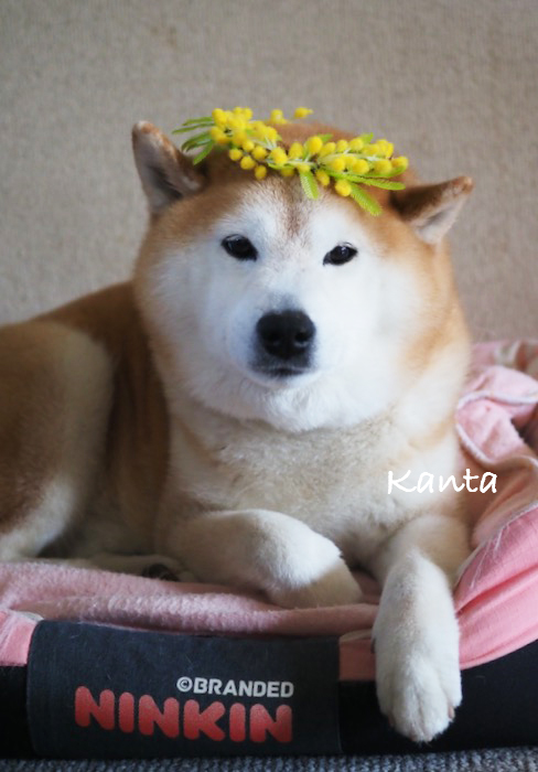 11日夕ブログ２