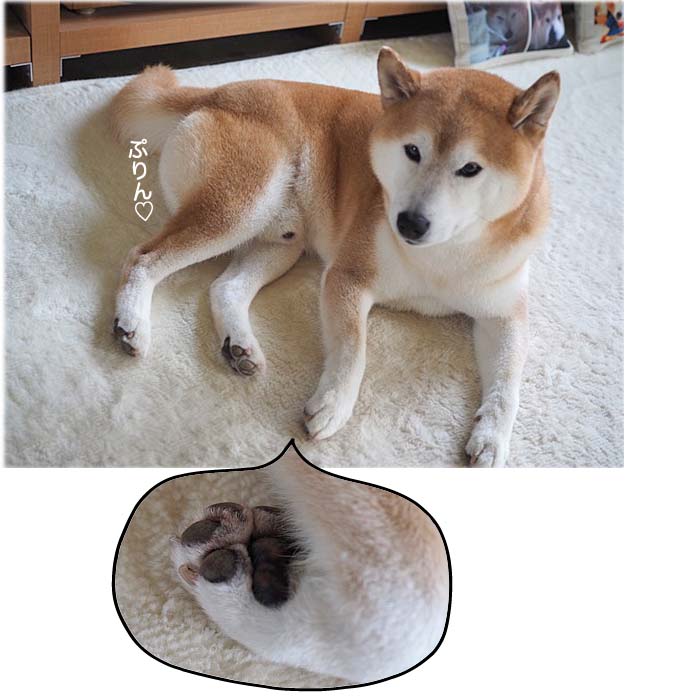 25日ブログ4