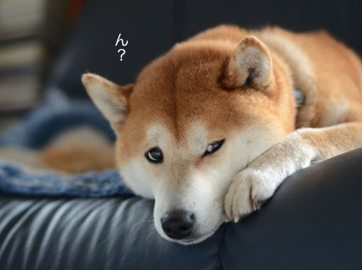 3日ブログ7.jpg
