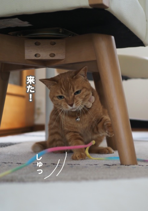 4日夕ブログ４