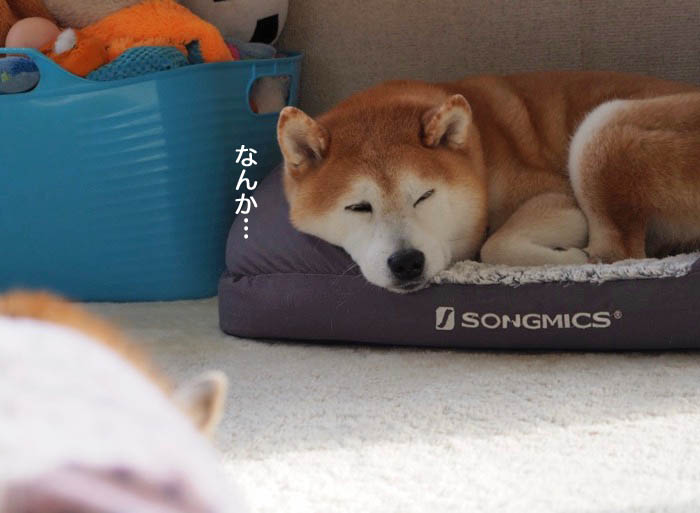 3日夜ブログ２