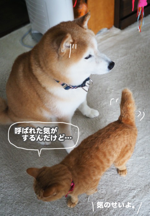 19日ブログ６