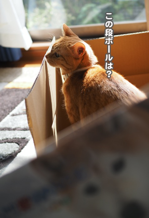 22日夕ブログ１２