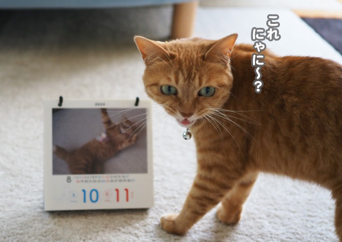 10日夕ブログ４