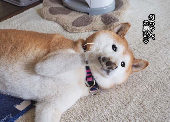 3日午前ブログ３