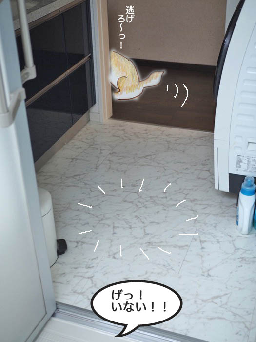 17日夜ブログ１０