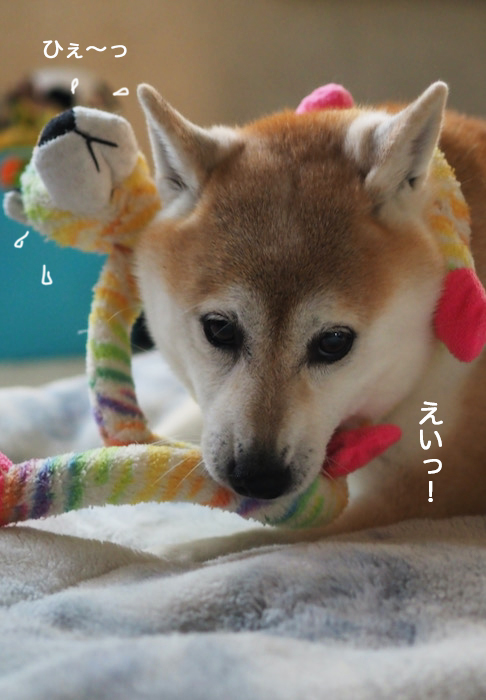 13日夜ブログ５