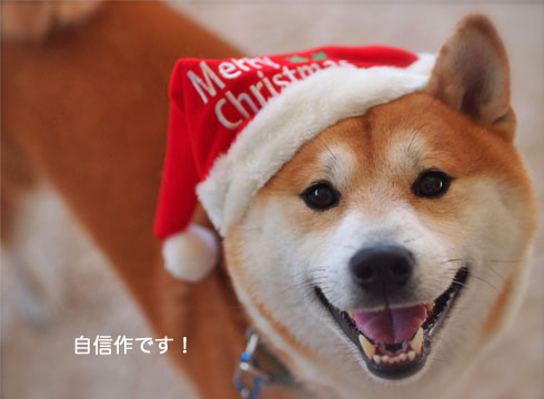28ブログ8.jpg