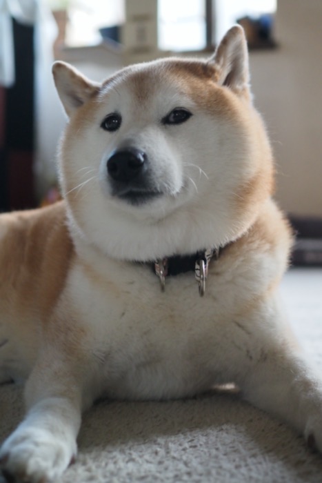 17日ブログ４