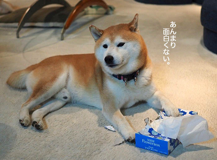 1日夜ブログ４