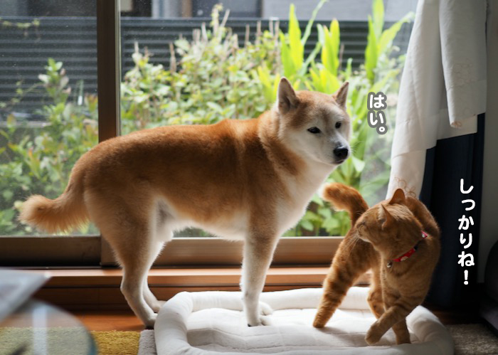 2日夕ブログ１３