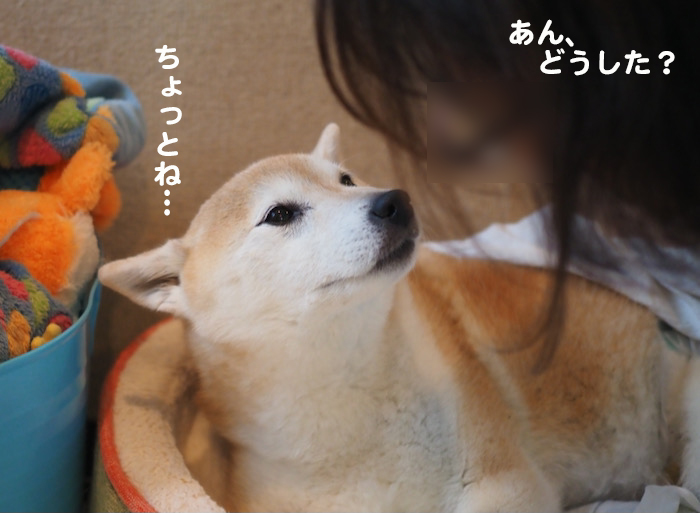 12日夕ブログ８