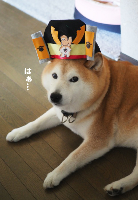 5日ブログ６