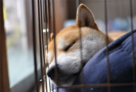 5日ブログ９.jpg