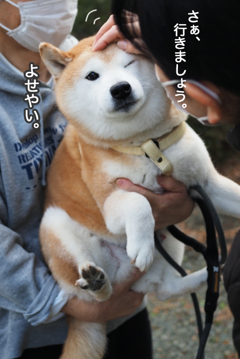 17日夜ブログ４