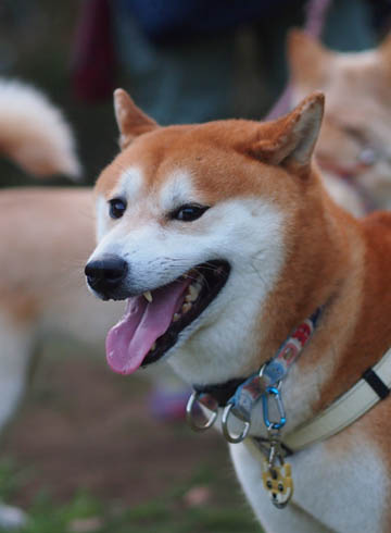 27日ブログ2.jpg
