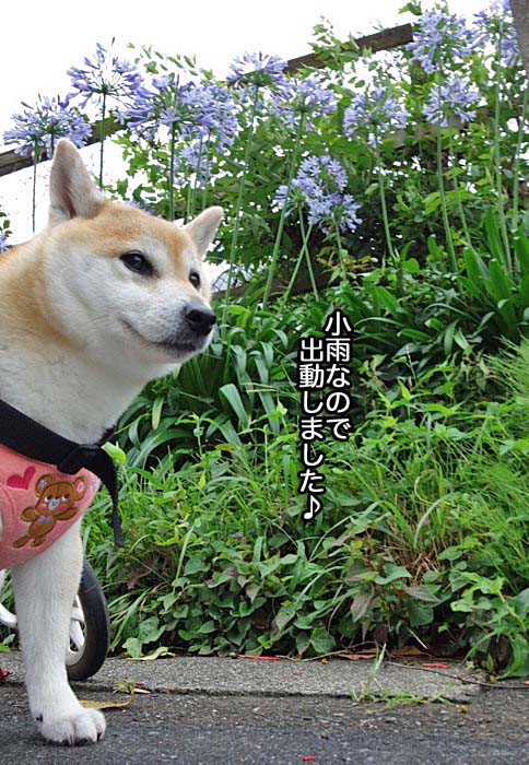 7日ブログ３