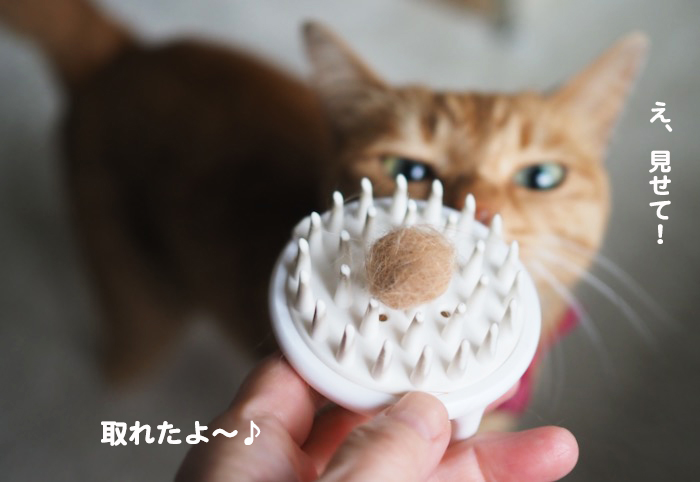 23日夕ブログ９