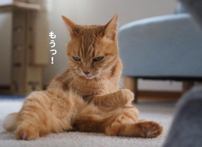 16日夕ブログ７