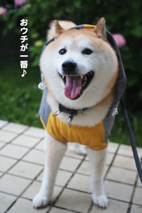 30日ブログ３