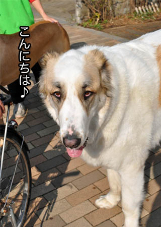 4日ブログ21.jpg