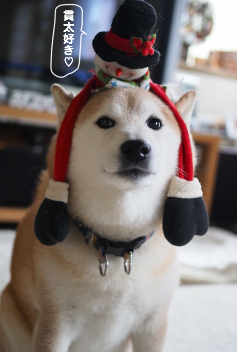 21日ブログ１