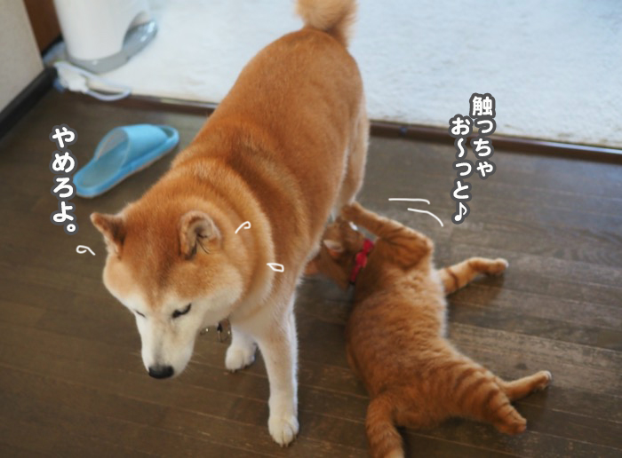 2日夕ブログ７