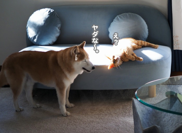 28日夕ブログ７