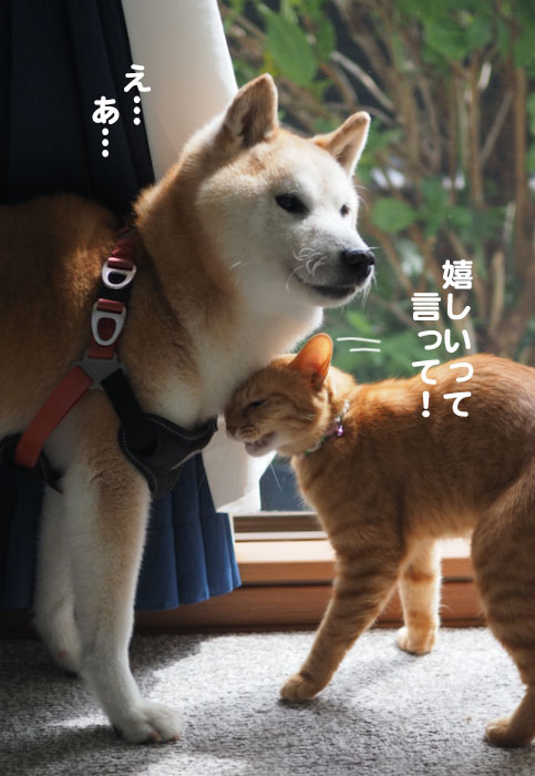 8日夕ブログ６
