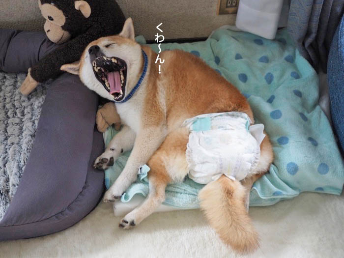 15日ブログ８