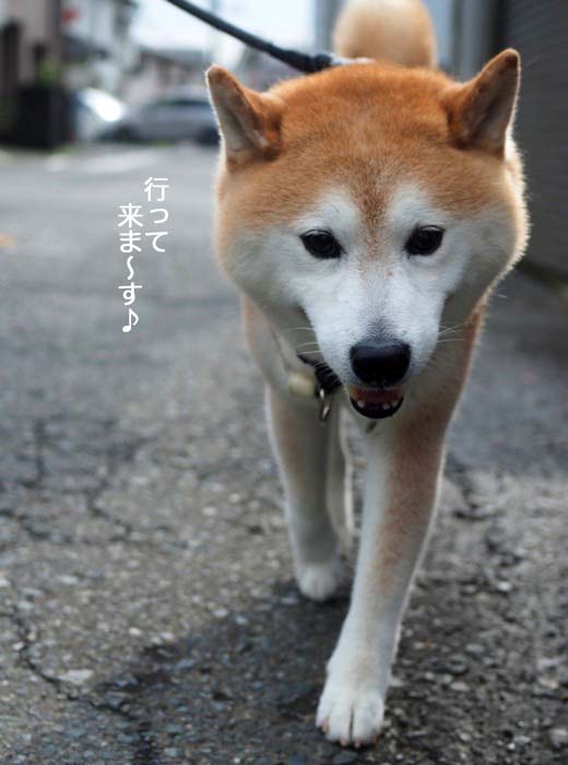 3日夕ブログ４