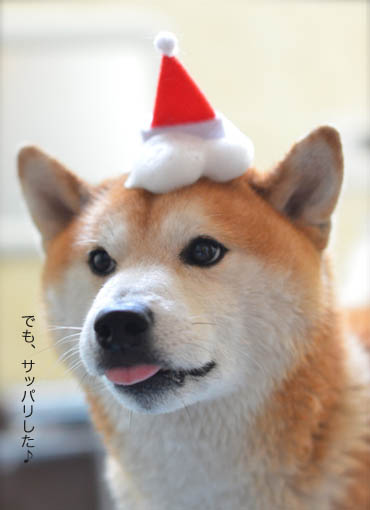 26日ブログ3.jpg