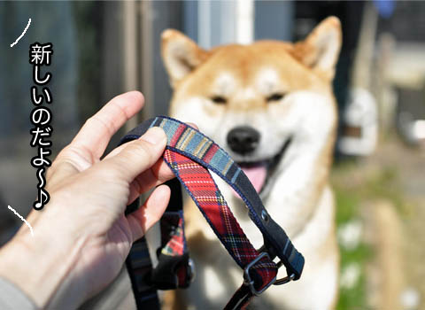 4日ブログ7.jpg