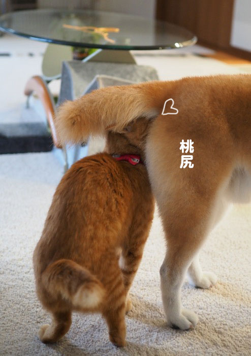 23日ブログ4