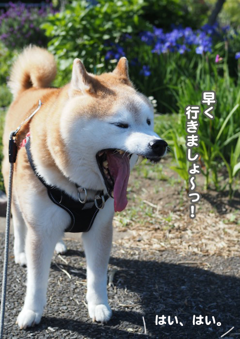 8日ブログ３