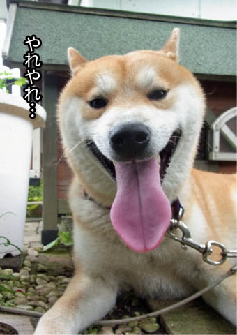 21日ブログ6.jpg