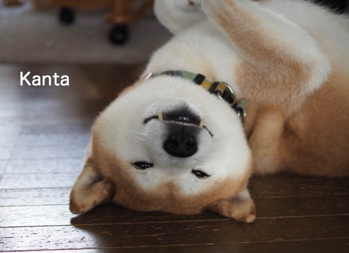 1日夜ブログ１