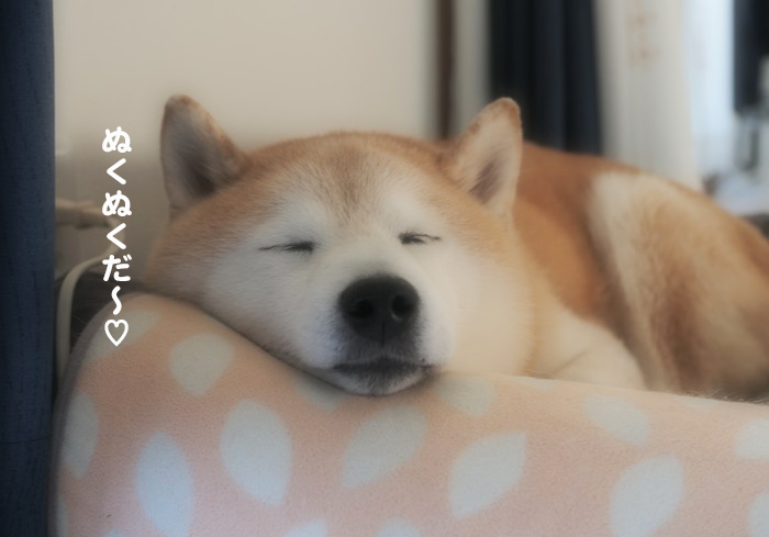 21日夕ブログ１１
