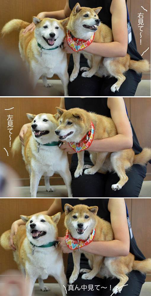 28日ブログ11.jpg