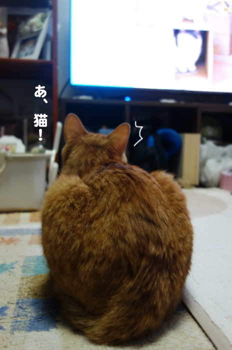17日ブログ1