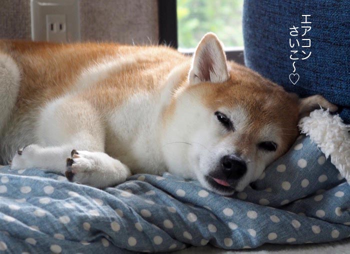 18日ブログ２