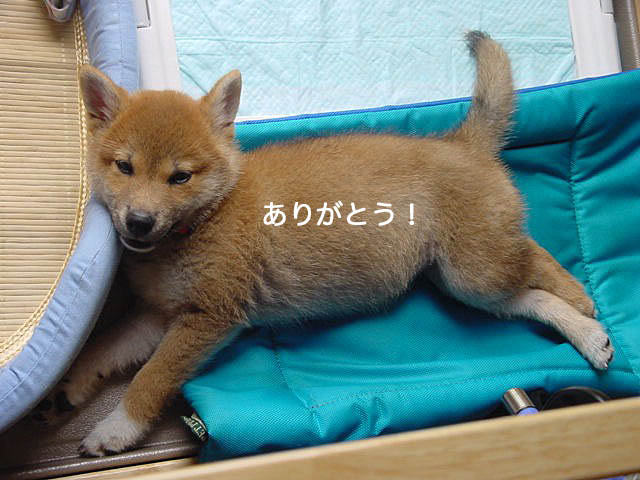 6日午前ブログ5