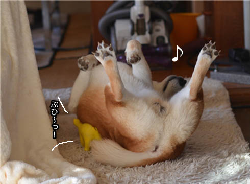 25日ブログ7.jpg