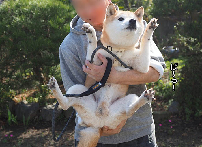 11日ブログ８